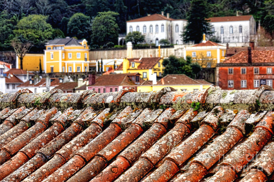 Roofs of Sintra Photograph by Olivier Le Queinec