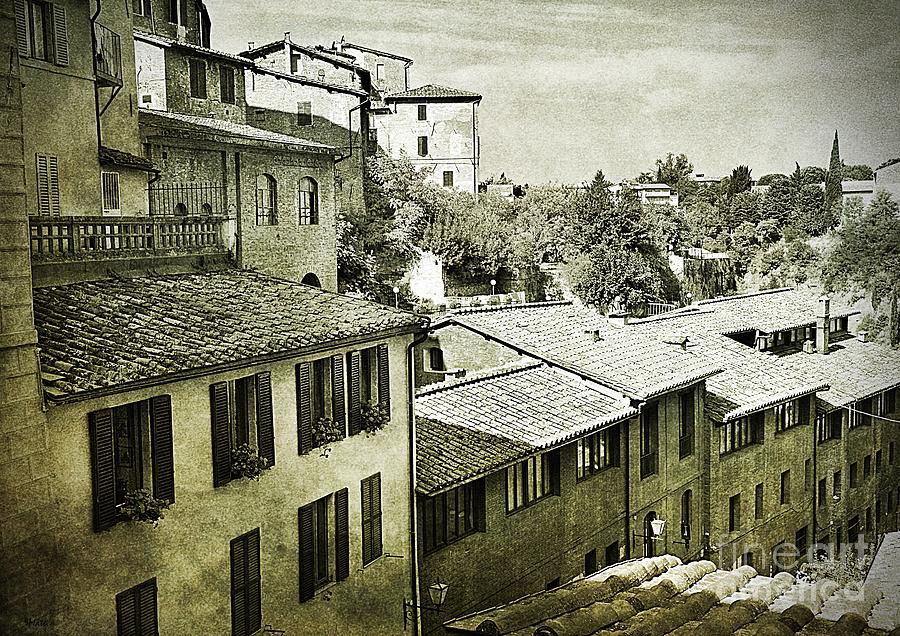 RoofTops in Siena in Black and White Photograph by Ramona Matei