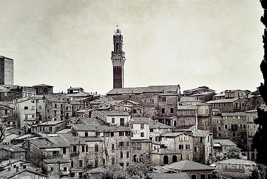 Rooftops in Siena Photograph by Ramona Matei