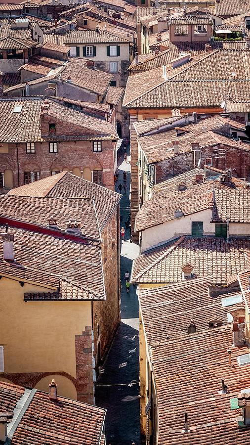 Rooftops of the city of Lucca in Tuscany Photograph by Benoit Bruchez