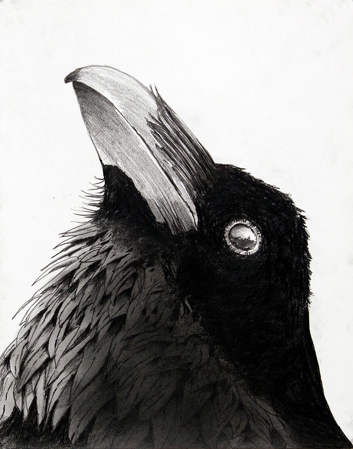 Rook 1 Drawing by Charlie Brown