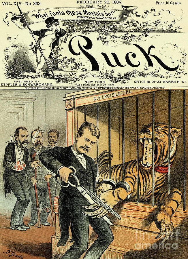 Roosevelt and tiger antique cartoon Drawing by Heidi De Leeuw