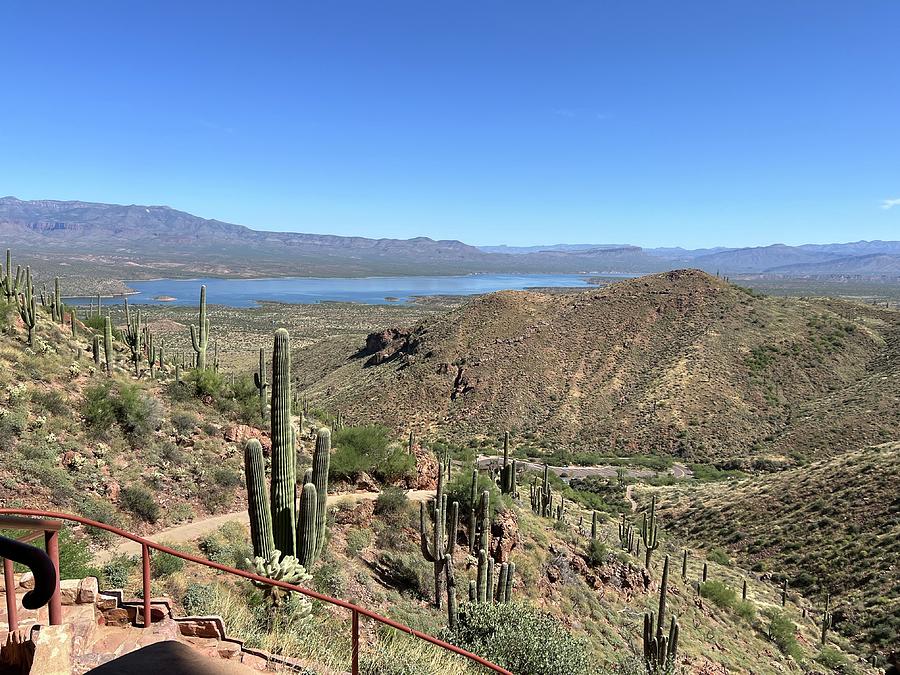 Roosevelt Lake Photograph by Shannon Melde - Fine Art America