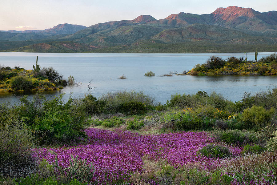 Roosevelt Lake Spring colors in Arizona Photograph by Dave Dilli