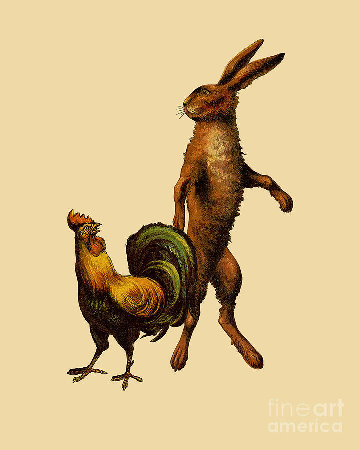 Rooster Digital Art - Rooster And Hare by Madame Memento