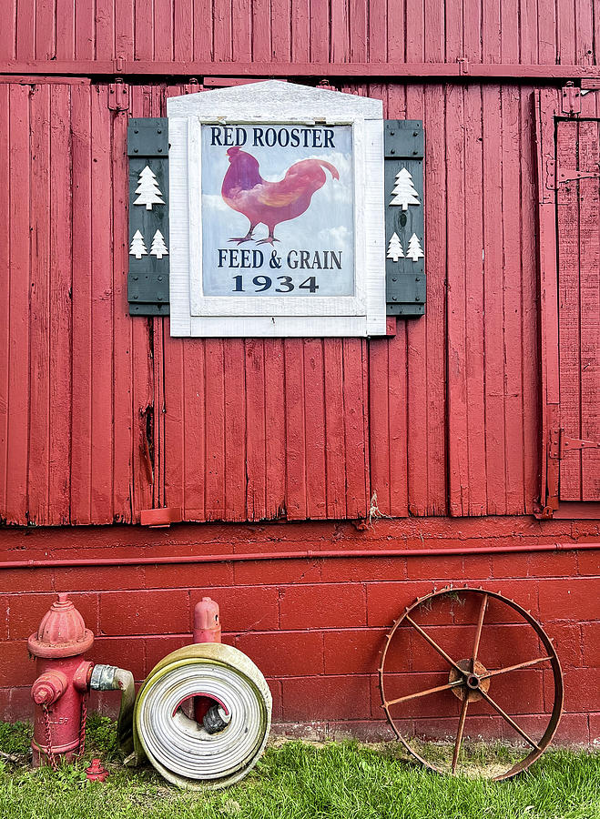Rooster Barn Photograph by Lloyd Gillies Rooster Barn Photograph by Lloyd Gillies