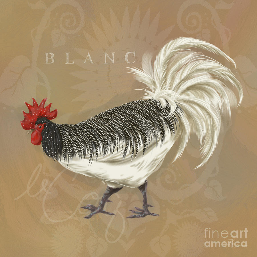 Rooster Blanc Mixed Media by Shari Warren
