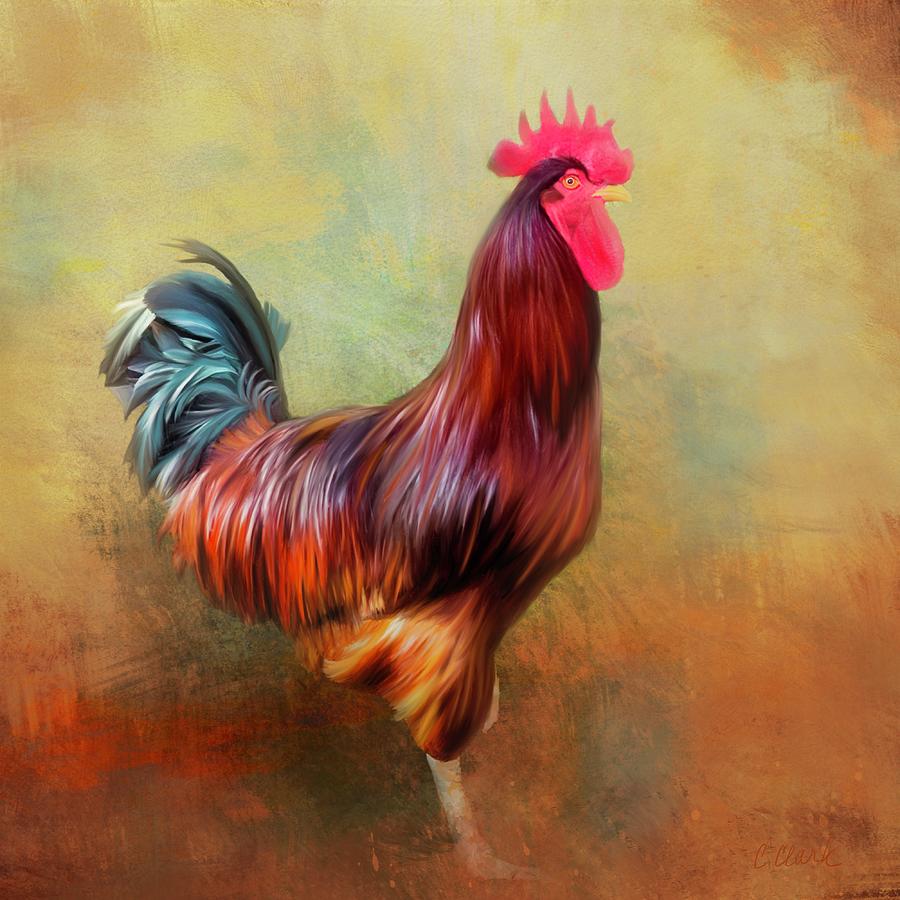 Rooster Mixed Media By Cynthia Sgrosso Clark - Fine Art America