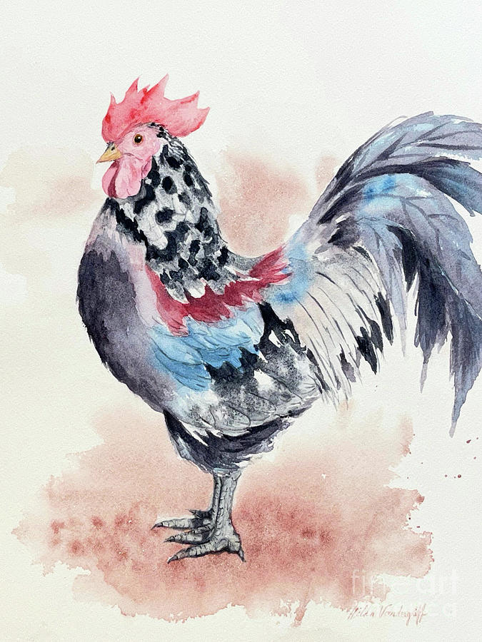 Rooster Painting by Hilda Vandergriff - Fine Art America