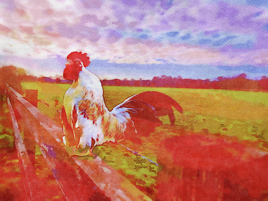 Rooster on a Fence Crowing in the Morning Digital Art by Shelli Fitzpatrick
