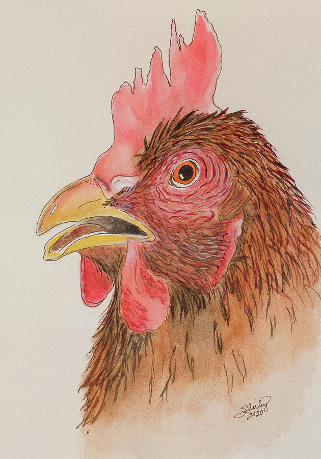 Rooster Mixed Media - Rooster by Shirley Dutchkowski