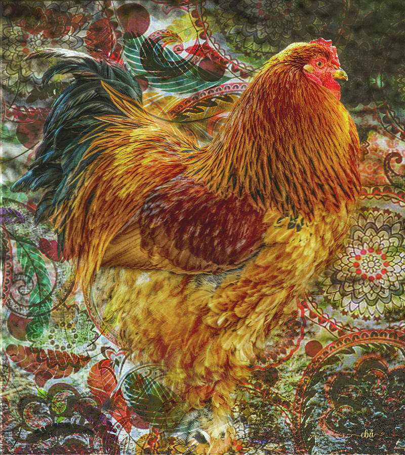 Rooster Visiting Digital Art by Elaine Berger