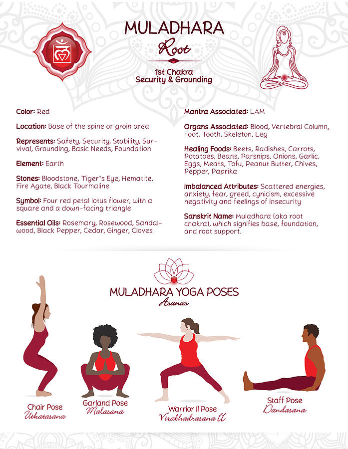 Root Chakra Yoga Poses Poster Chart - #75 WBG-P Digital Art by Serena ...
