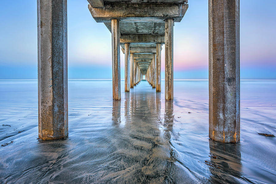 Rooted In The Sand, Scripps Pier Photograph by Joseph S Giacalone