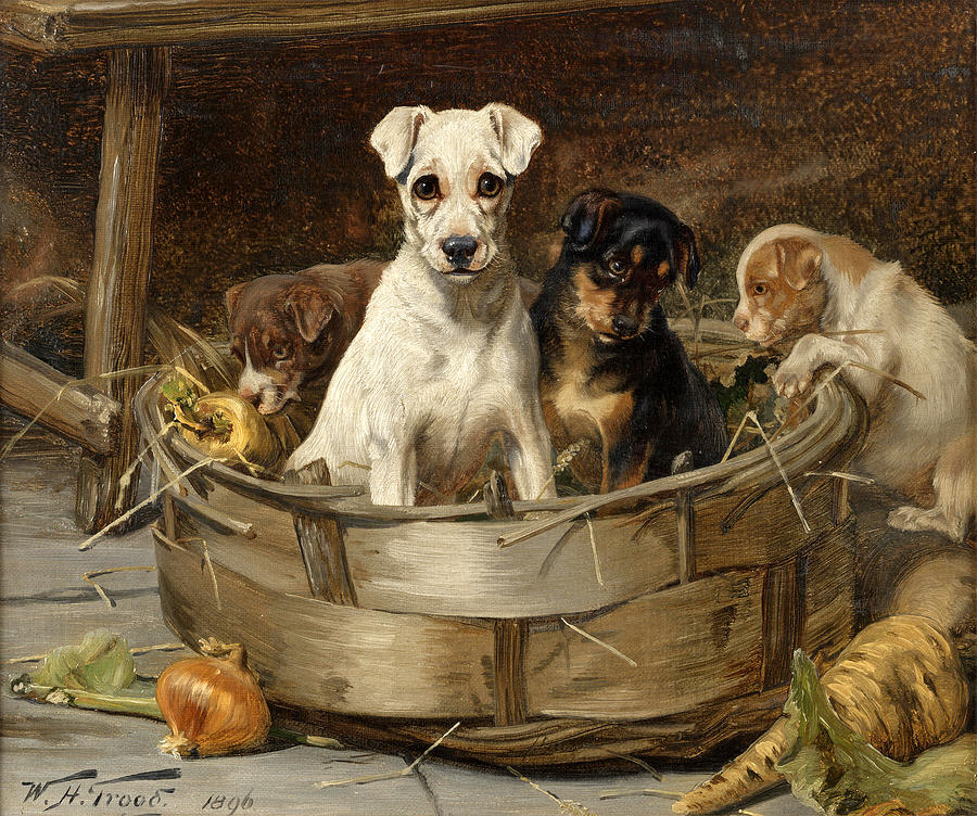Rooting around  Painting by William Henry Hamilton Trood
