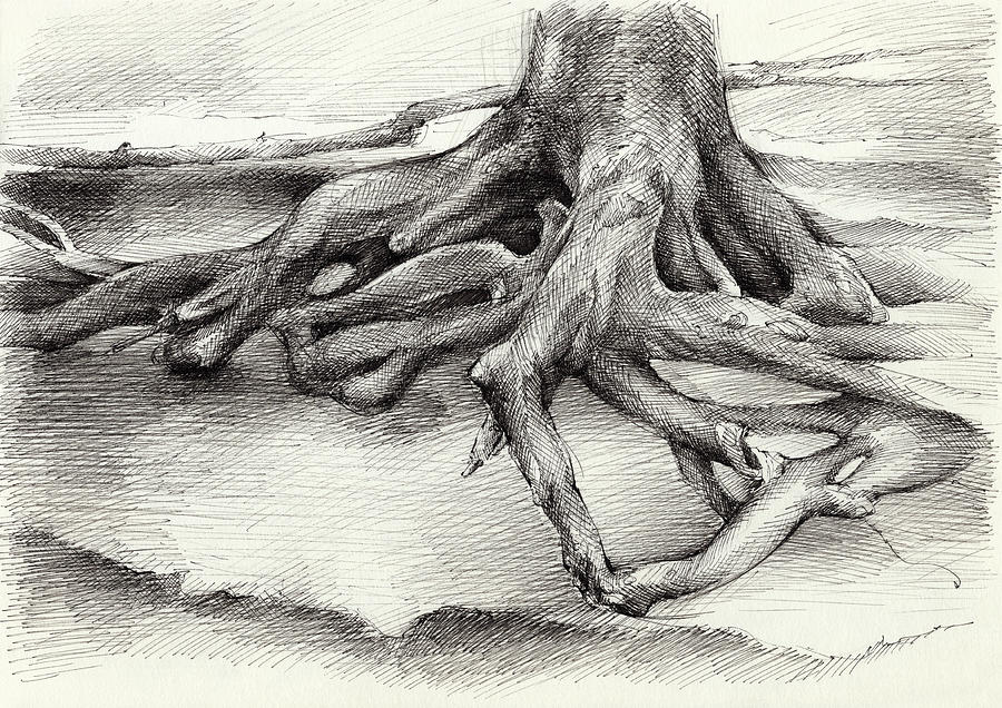 Roots and silent forest III. Drawing by Adriana Mueller