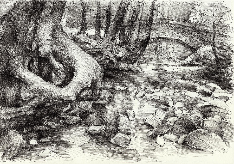 Roots and silent forest IV. Drawing by Adriana Mueller