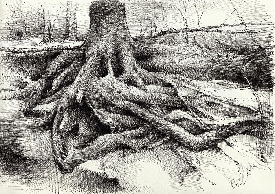 Roots and silent forest VI. Drawing by Adriana Mueller