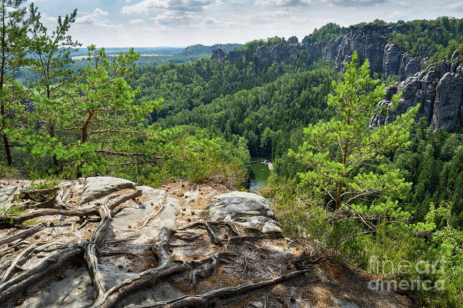 Roots and view of the Amselgrund valley near Rathen in Saxon Switzerland Photograph by Adriana Mueller