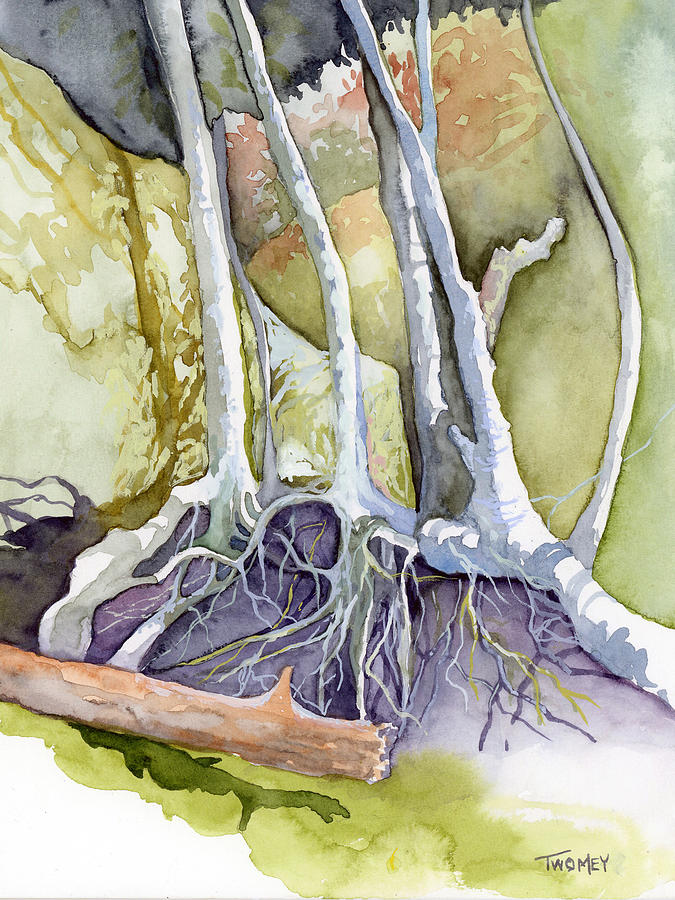 Roots, Rocks, Trees Painting by Catherine Twomey