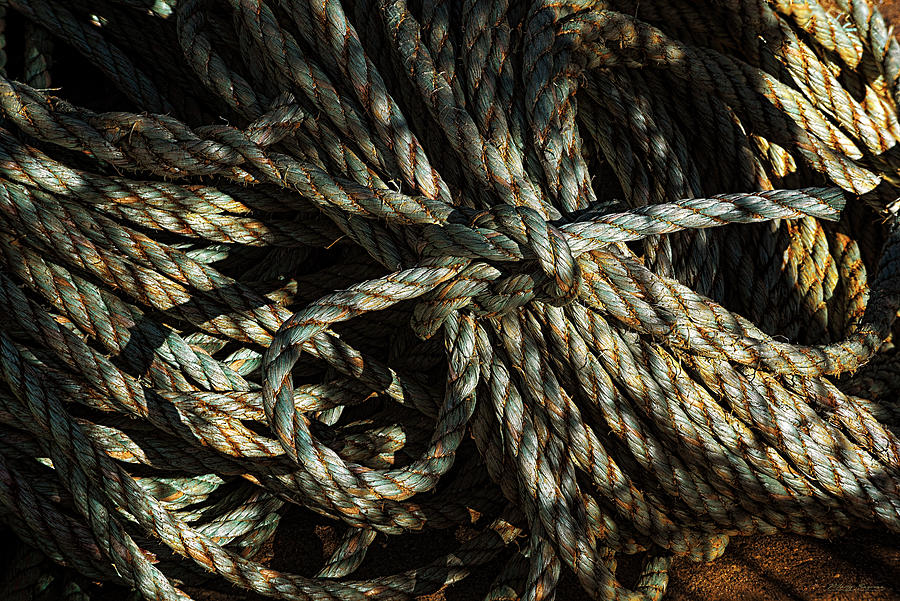 Rope And Texture 11 Photograph by Marty Saccone