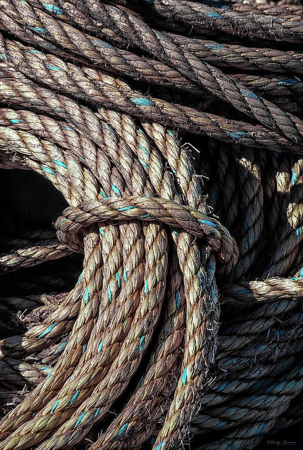 Rope and Texture 12 Photograph by Marty Saccone