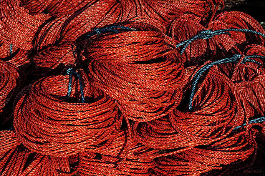 Rope and Texture 13 Photograph by Marty Saccone