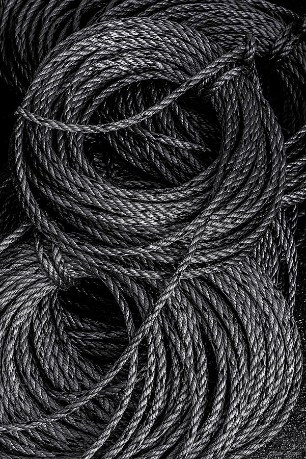 Rope and Texture 2 Photograph by Marty Saccone