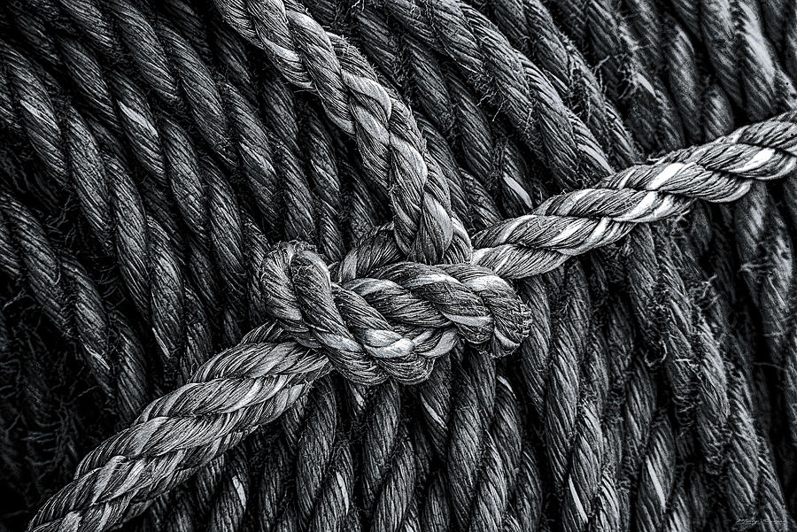 Rope and Texture 4 Photograph by Marty Saccone