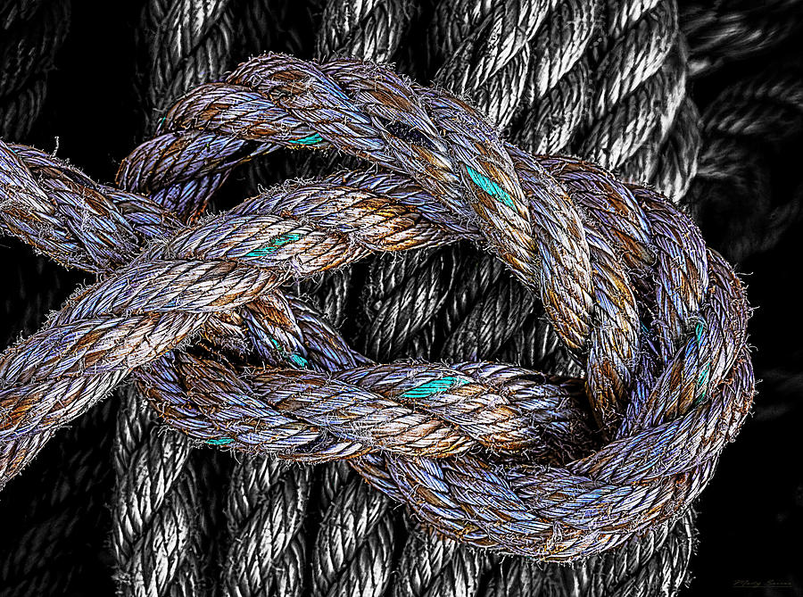Rope and Texture 5 Photograph by Marty Saccone