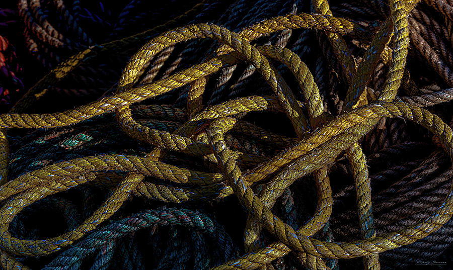 Rope and Texture 8 Photograph by Marty Saccone