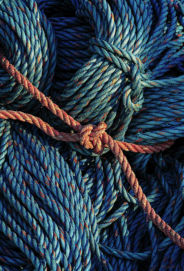 Rope And Texture 9 Photograph by Marty Saccone