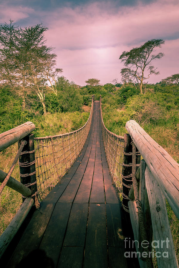 Rope Bridge Photograph By Barbara Higgins Creations Pixels