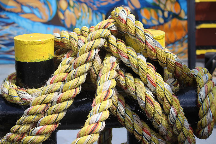 Rope Photograph by Callen Harty