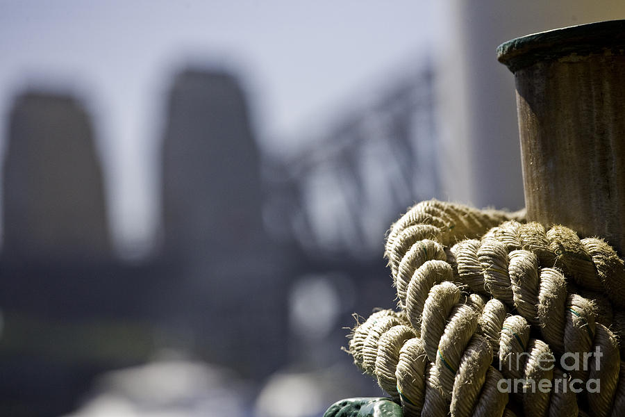 Ropes With Harbour Backdrop Photograph