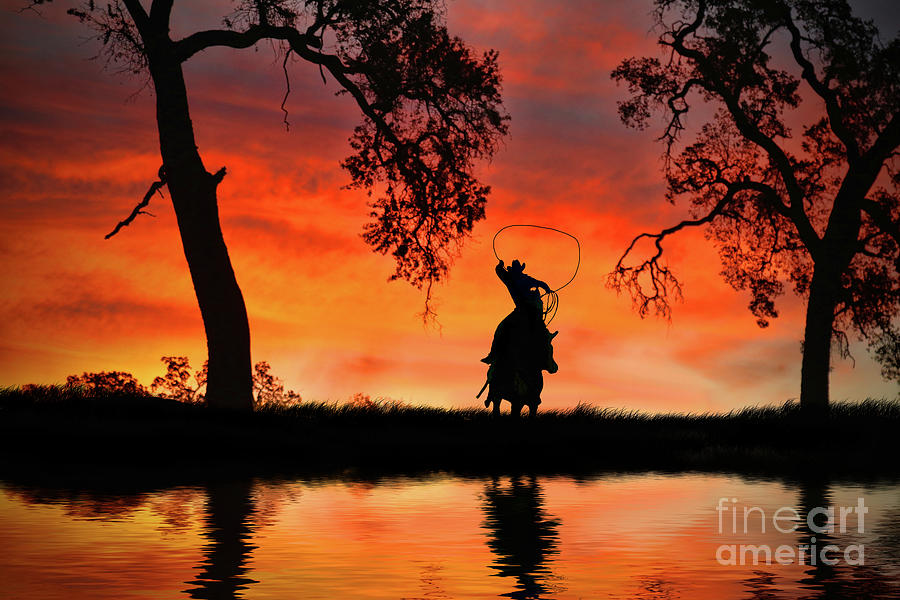 Roping Cowboy Country Western Sunset  Photograph by Stephanie Laird