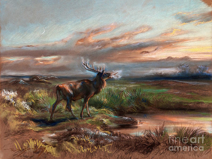 Rosa Bonheur - The Call of the Stag Painting by Alexandra Arts