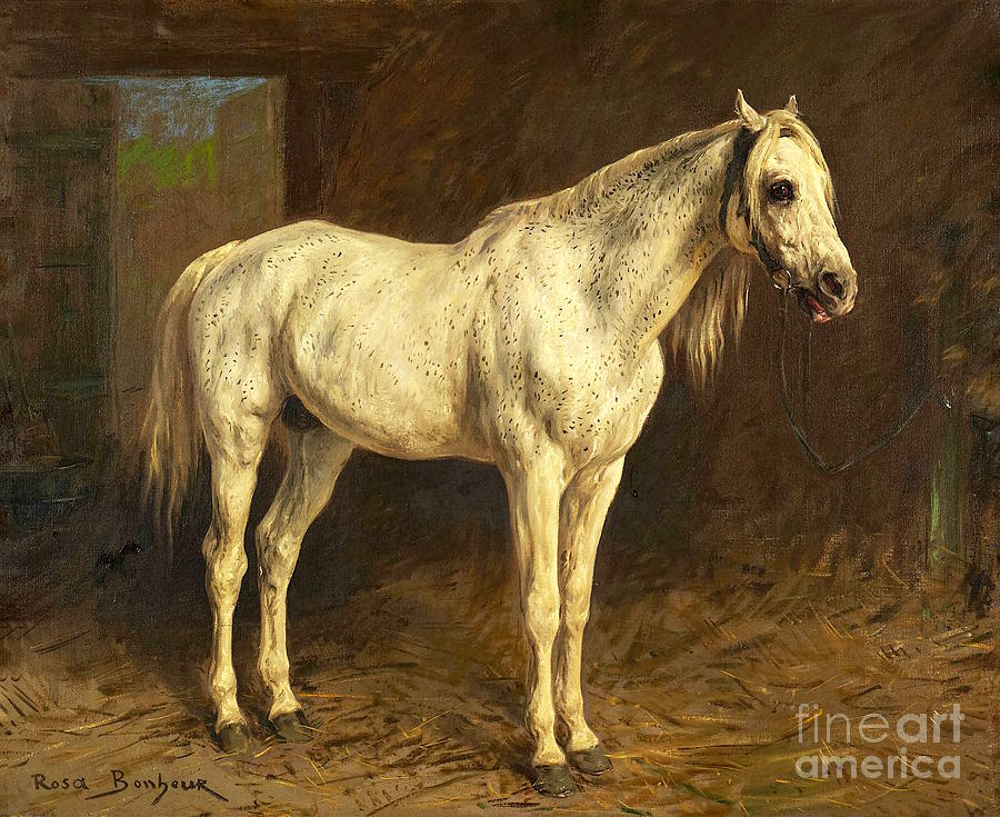 Rosa Bonheur -  White Horse Painting by Alexandra Arts