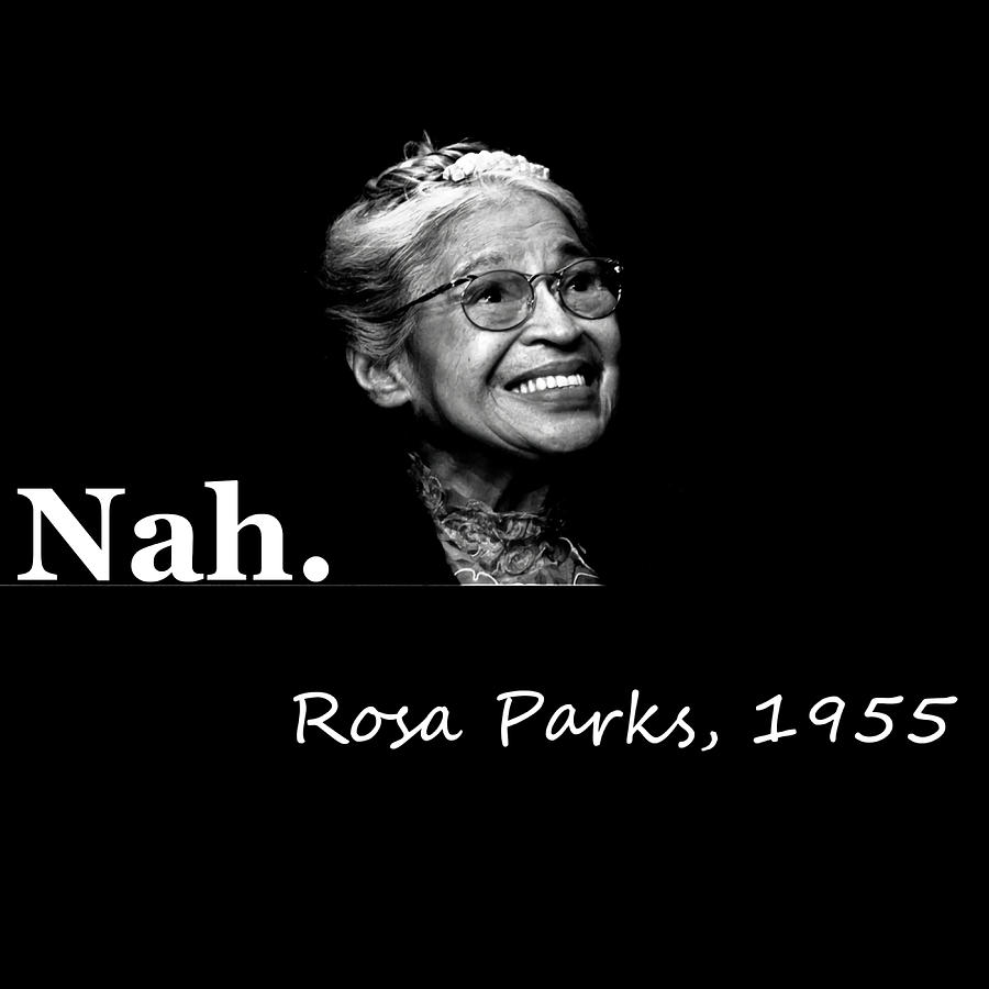 Rosa Parks Nah Poster boy nature Painting by Dan Stephanie | Fine Art ...