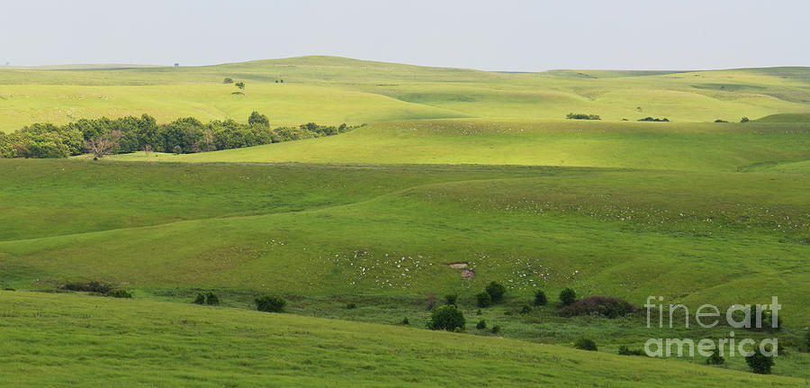 Rosalia Flint Hills Photograph by Audie Thornburg - Pixels