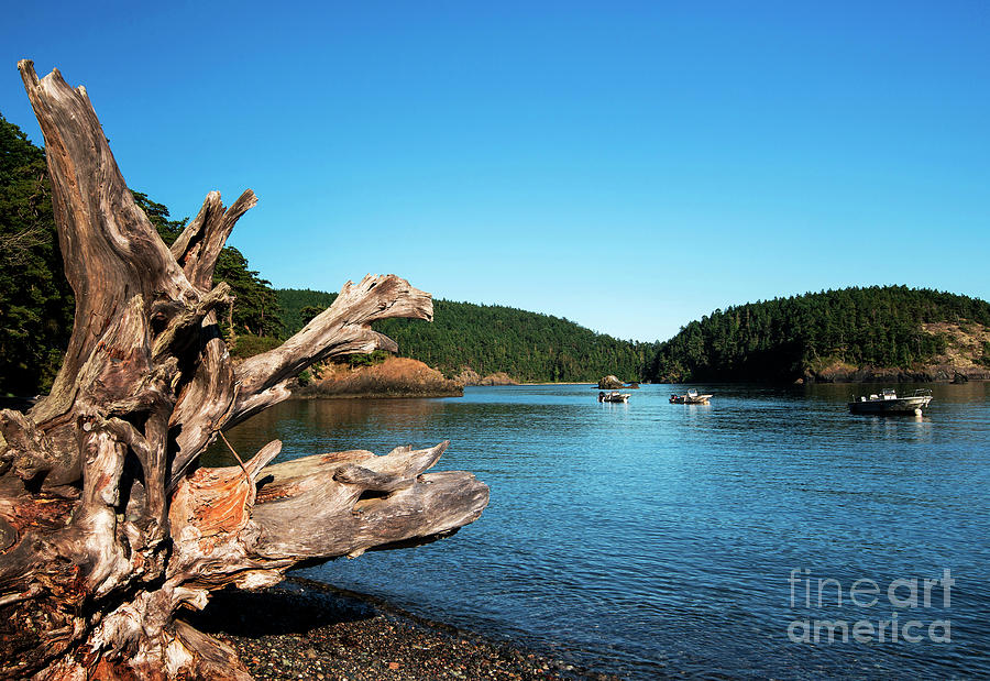 Rosario Beach, Anacortes, North Cascades National Park, Washington ...