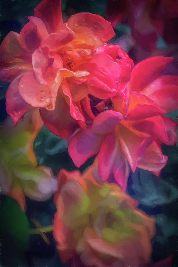 Flower Photograph - Rose 423 by Pamela Cooper