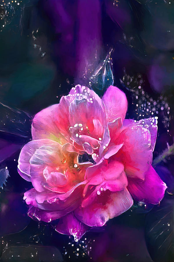 Flower Photograph - Rose 430 by Pamela Cooper