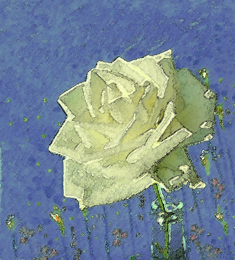Rose 525 in Blue Photograph by Corinne Carroll