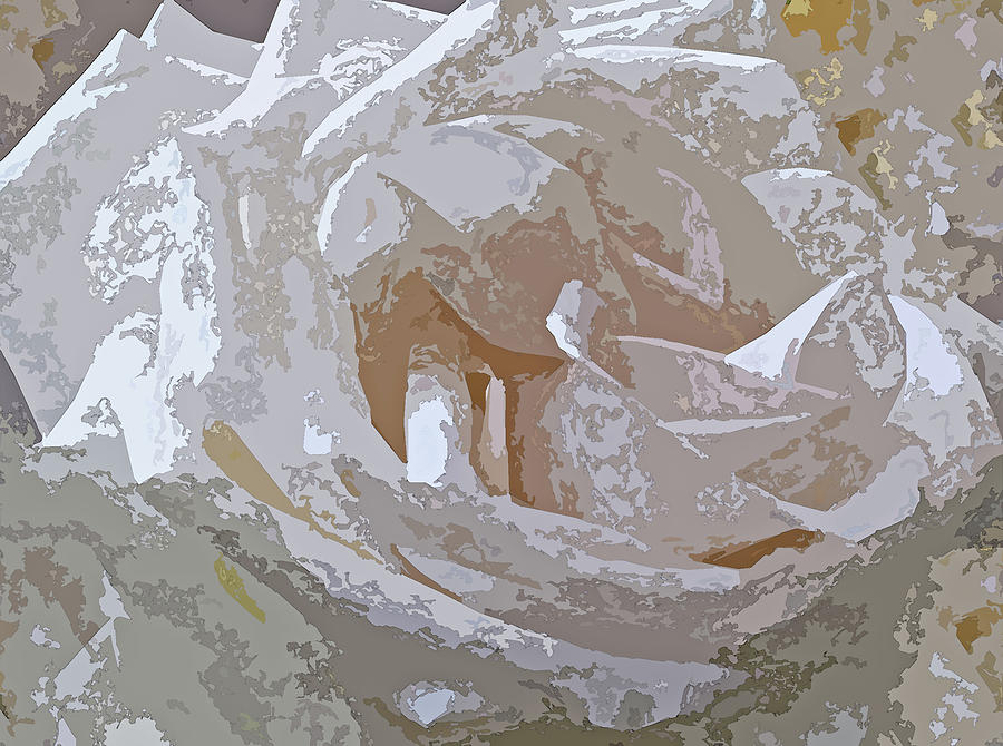 Rose Abstract Photograph by Corinne Carroll