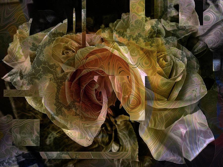 Rose Abstract Digital Art by DonaRose
