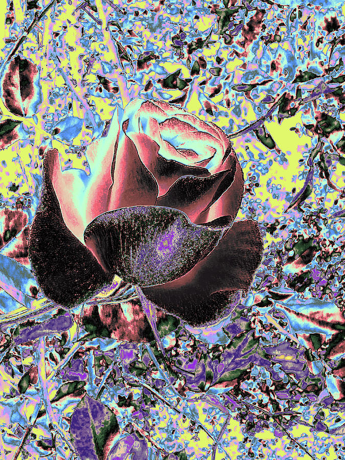 Rose Alone But Happy Blue Digital Art
