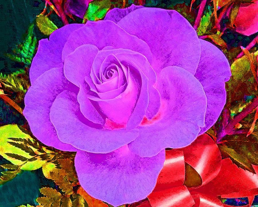 Rose and Ribbon Purple Photograph by Andrew Lawrence