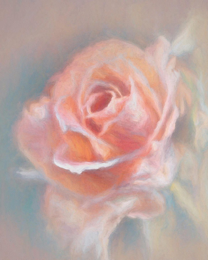 Rose Beauty Digital Art by Ernest Echols