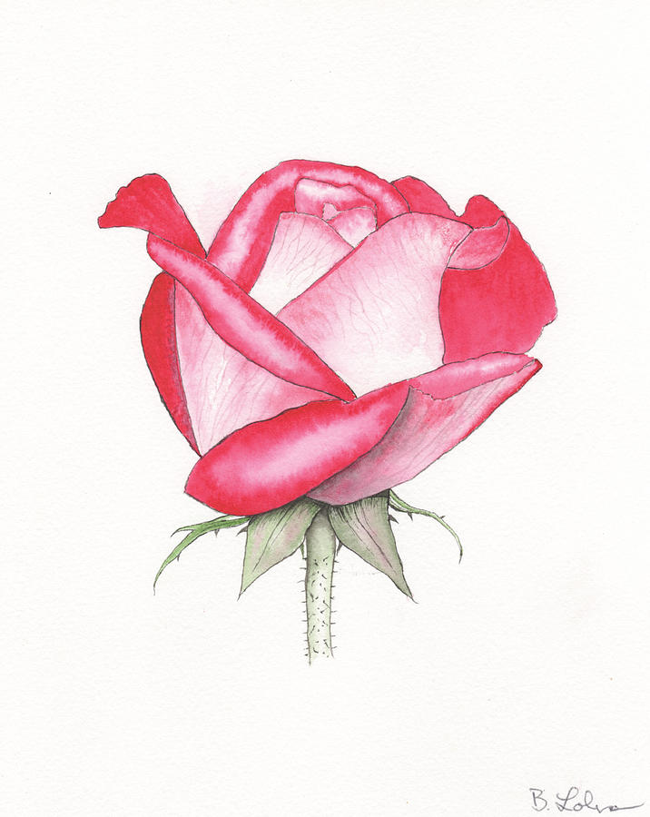 Rose Blushing Painting by Bob Labno